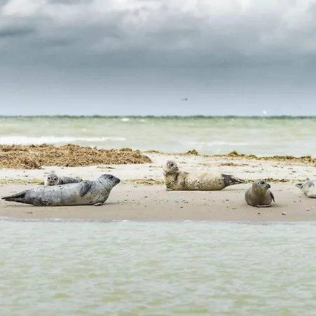 Le Cosy Au Calme A Quelques Minutes De La Baie De Somme, Entre Nature Et Teletravail Holiday home